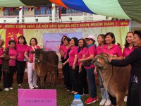 Hội Nữ doanh nhân Thành phố Hồ Chí Minh thực hiện chương trình “Đồng hành cùng phụ nữ biên cương” tại huyện Trùng Khánh