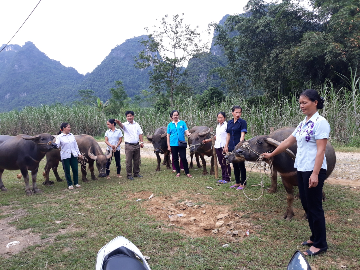 Hội LHPN huyện Quảng Uyên phối hợp Dự án ChilFund hỗ trợ hội viên phụ nữ xóm Lũng Rỵ xã Hồng Quang
