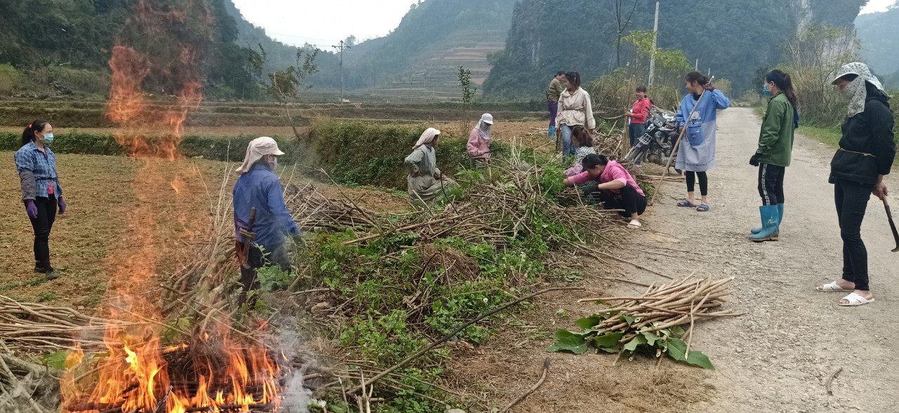Phụ nữ huyện Hạ Lang hưởng ứng phong trào "Mùa xuân là tết trồng cây"