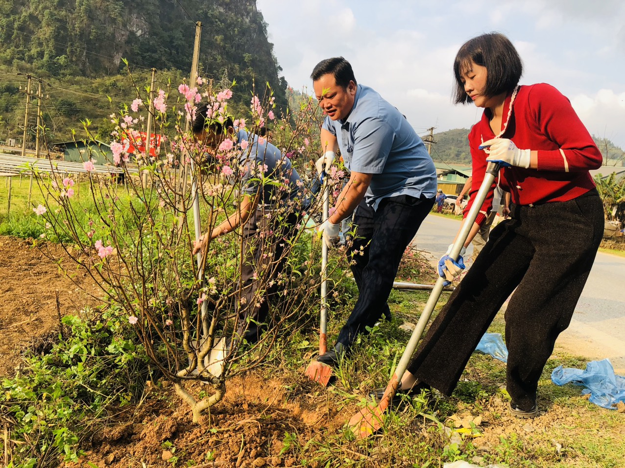 Hội LHPN huyện Hòa An ra quân trồng đào tại xã Nguyễn Huệ