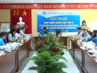 Hội Liên hiệp Phụ nữ tỉnh tổ chức Hội...