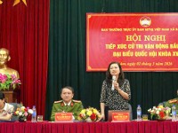 Tăng cường thúc đẩy sự tham gia của phụ...