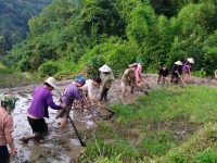 Phụ nữ Cao Bằng lan tỏa tinh thần tương...