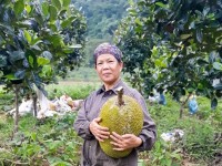Những bông hoa đẹp từ phong trào phụ nữ