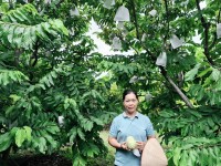 Chị Hoàng Thị Mến, hội viên phụ nữ xóm Hòa Chung, xã Phục Hòa, tỉnh Cao Bằng là một trong những hội viên tiêu biểu thực hiện hiệu quả mô hình “Phụ nữ phát triển kinh tế gắn với chuyển đổi số”.