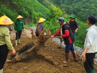 Phụ nữ Cao Bằng chung tay làm đẹp quê...