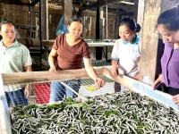 Hội LHPN tỉnh kiểm tra việc sử dụng vốn...