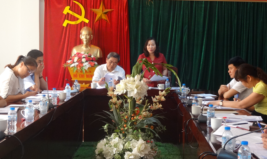 Đ/c Hà Nhật Lệ - Chủ tịch Hội LHPN tỉnh, Trưởng đoàn giám sát NQ 11 phát biểu tại buổi làm việc với          huyện ủy Trùng Khánh