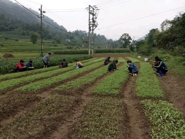 Hội LHPN xã Chu Trinh, thành phố Cao Bằng với các hoạt động hỗ trợ phụ nữ sáng tạo khởi nghiệp, phát triển kinh tế, bảo vệ môi trường