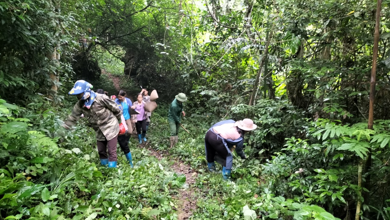 Hội LHPN các xã biên giới huyện Quảng Hòa phối hợp phát quang đường tuần tra, cột mốc biên giới