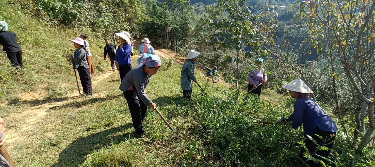 cao bang anh 1 phat quang 1