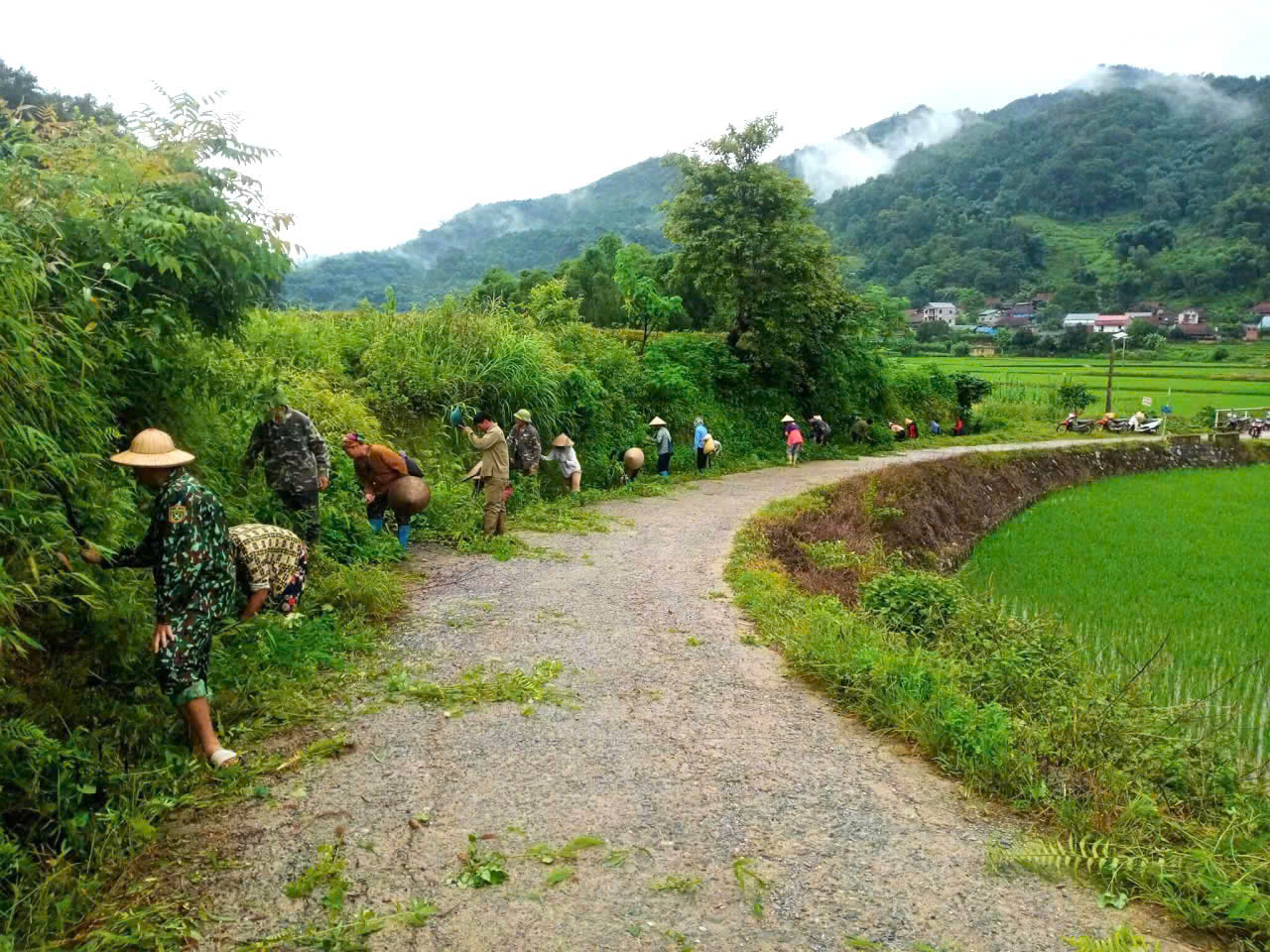 gen h xa tam kim 8 25