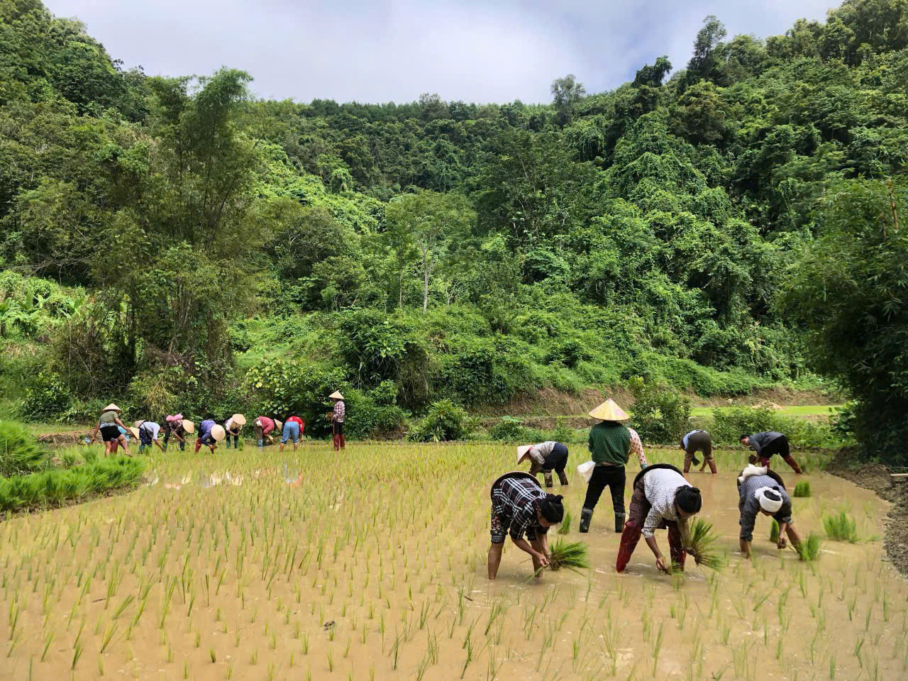 phu nu tan giang