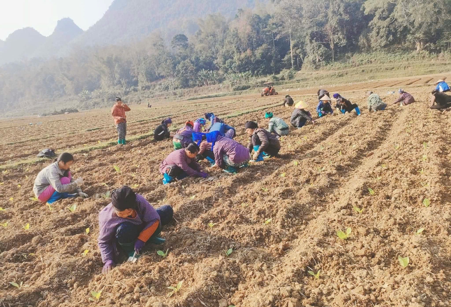 gen h tap the chi hoi phu nu nhom dong chia xom quang trung 1 xa can yen di giup trong thuoc la gia dinh gap hoan nan co 25 chi tham gia 1