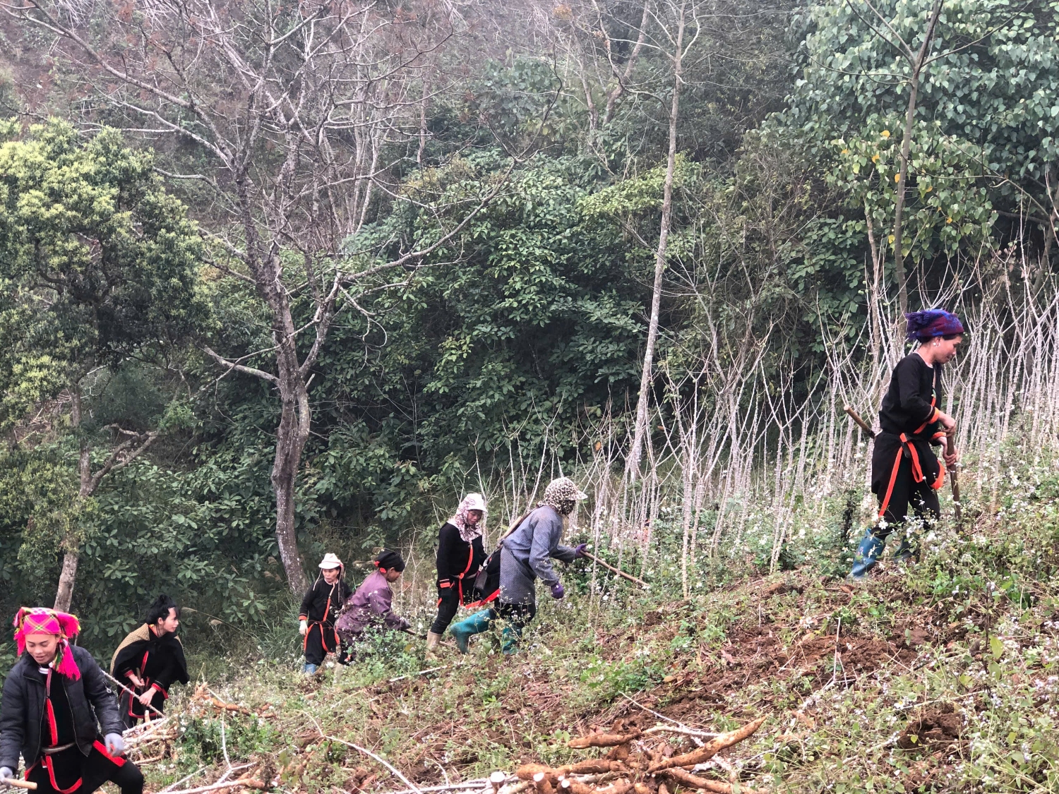 gen h chi hoi phu nu xom khuoi tac van dong hv giup do gd chi trieu thi pen co con bi benh mau trang mat giup cong nho va boc san co 25 hv tham gia 2