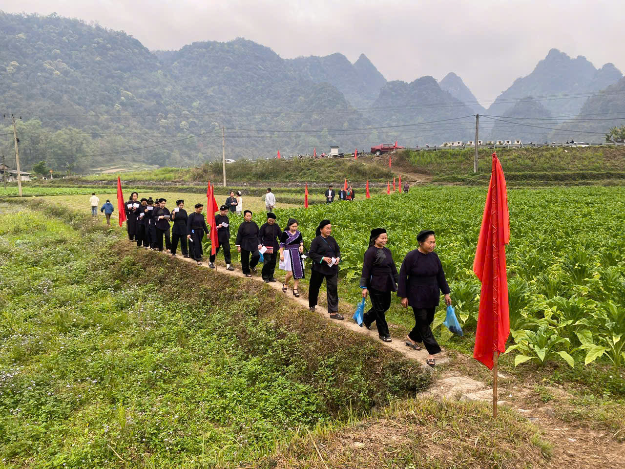 c4c987b2f5207b7e2231