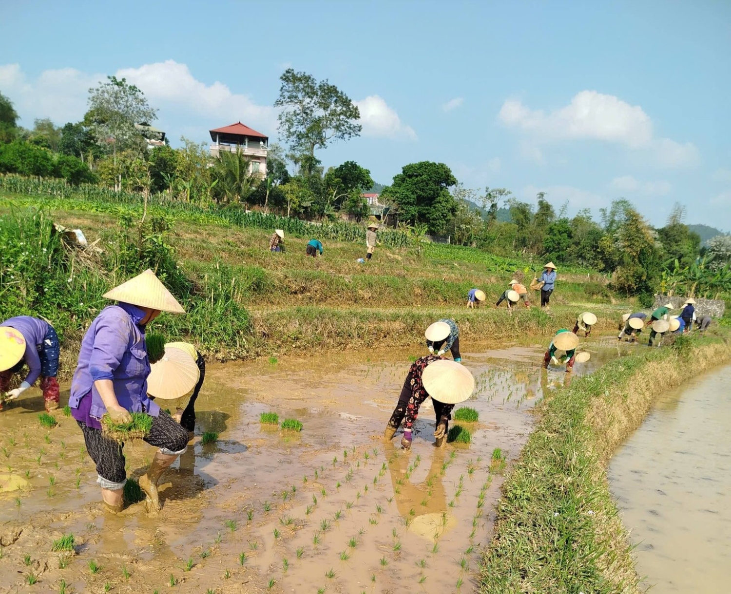 chi hoi phu nu xom 8 be trieu ho tro ngay cong lao dong cho mot hoi vien khong may bi tai nan 2