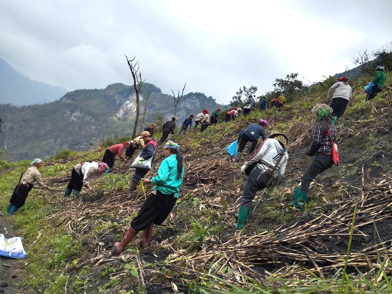 gen h hoi pn xa yen tho chi hoi pn xom nam tra va chi hoi pn xom khau ninh van dong hv giup 2 hv om dau trong ngo
