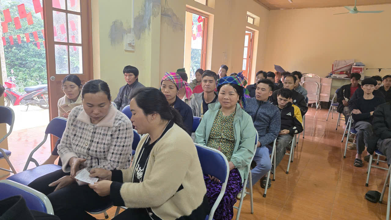 gen n quang lam tt bau cu