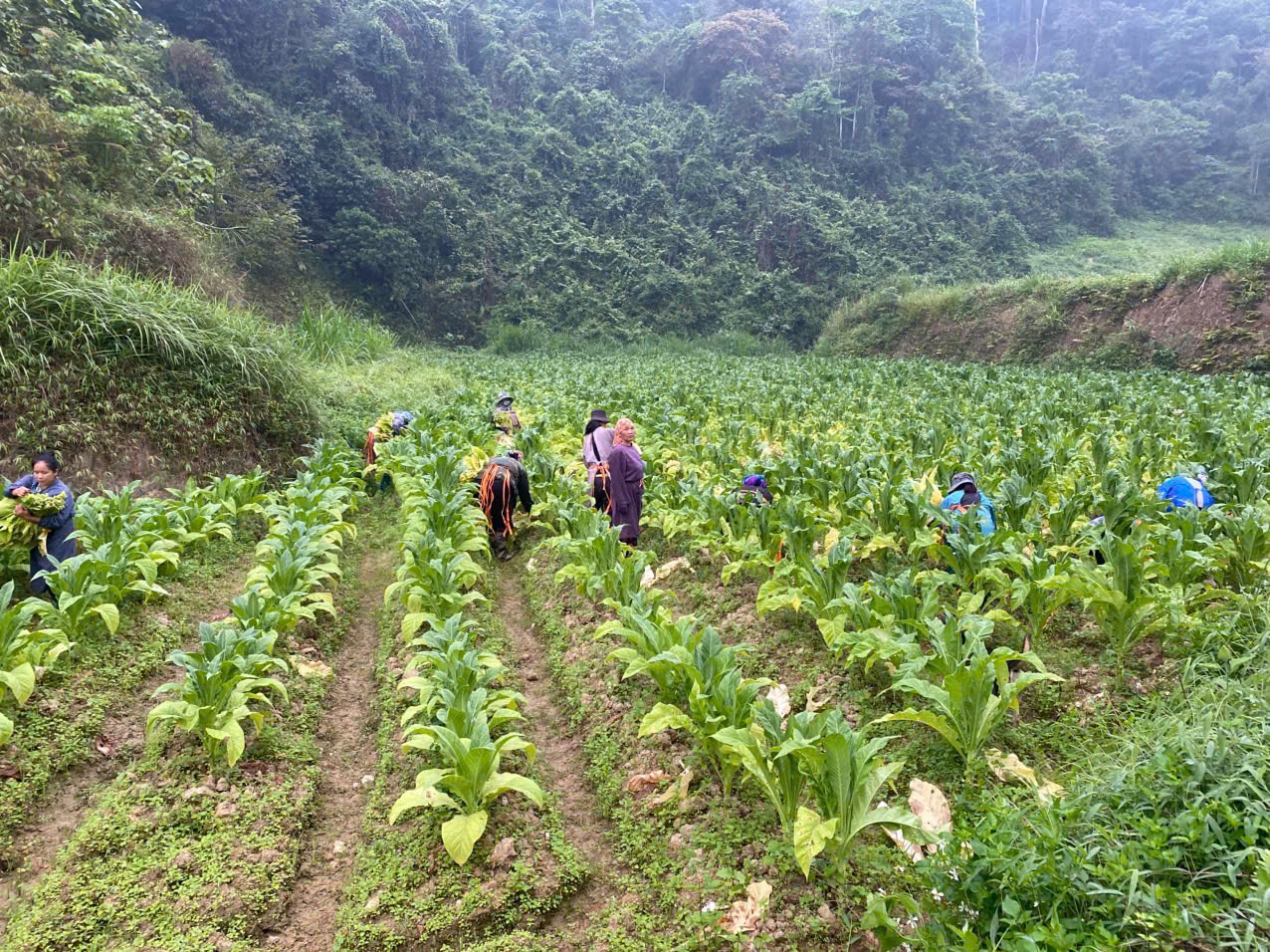 gen h chi em phu nu xom khuoi pang xa truong ha da chung tay ho tro gia dinh hoi vien tran thi suong 1