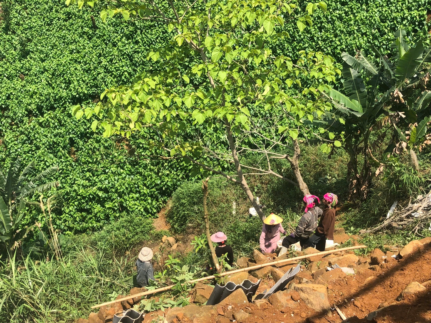 gen h chi hoi phu nu xom khuoi tac van dong hoi vien giup do cong lao dong cho gia dinh chi dang thi tien bi anh huong do gio to lam toc mai nha co 16 hoi vien tham gia1