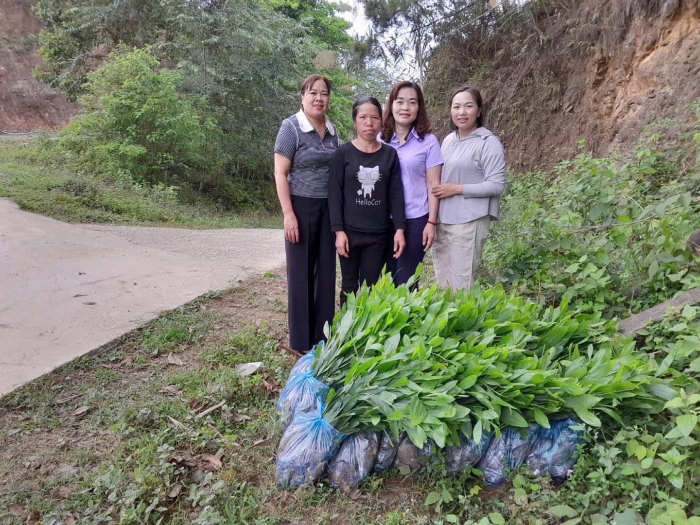 hoi lhpn xa bach dang ho tro cay giong va ngay cong giup hoi vien phat trien kinh te