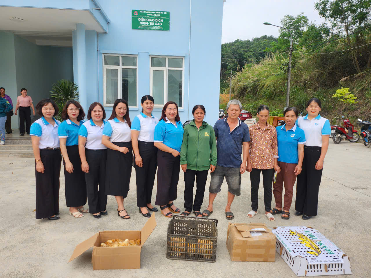 gen h nung tri cao huong ung pttd 7