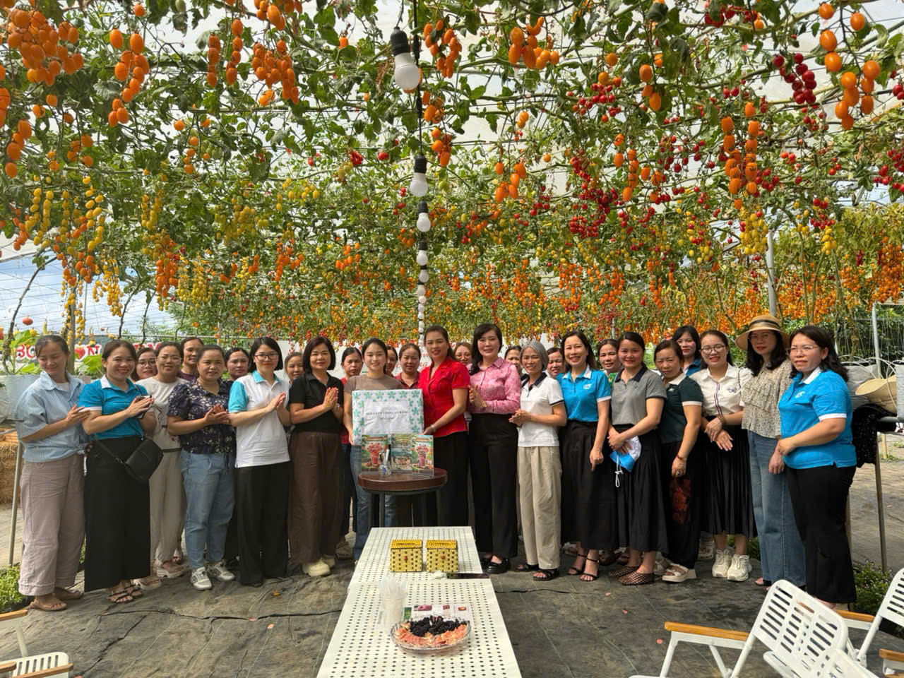 Đoàn công tác Quỹ Hỗ trợ phụ nữ phát triển tỉnh Cao Bằng tham quan, học tập kinh nghiệm mô hình nông nghiệp gắn với du lịch trải nghiệm Bon Bon Farm của Hợp tác xã Du lịch nông nghiệp Bon Bon, phường Mộc Châu (Sơn La).