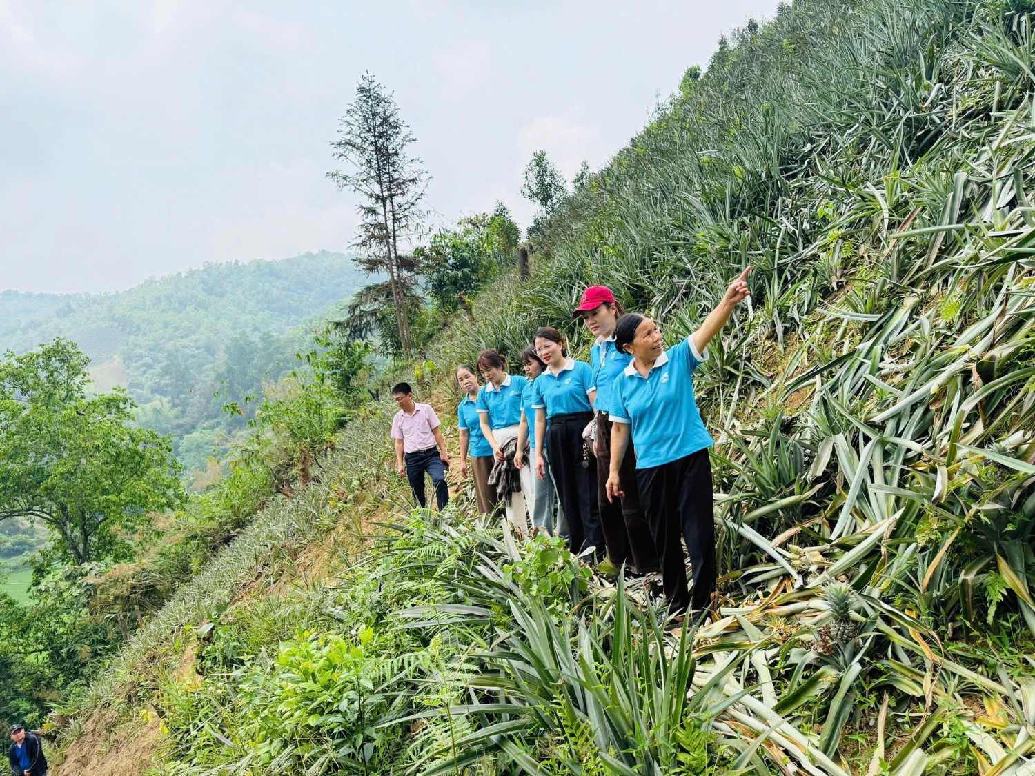 phu nu phuong tan giang thuc hien 05 phan viec thiet thuc chao mung dai hoi dai bieu phu nu toan quoc lan thu xiv 3
