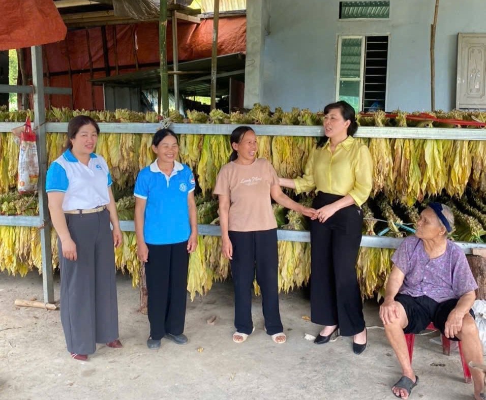 mo hinh thuoc la xa truong ha