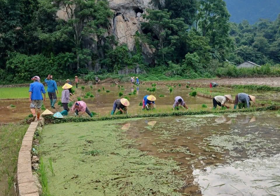 chi hoi phu nu xom dong tien 2 xa doai duong da van dong hoi vien giup do gia dinh hoi vien nong thi nuong nho macay lua