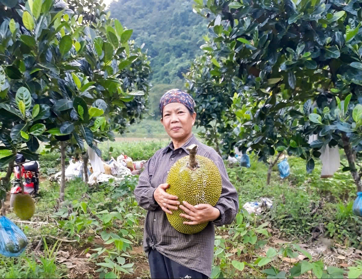 Chị Nông Thị Bướm, xóm Đoàn Kết, xã Thông Nông phát triển mô hình nông nghiệp sạch