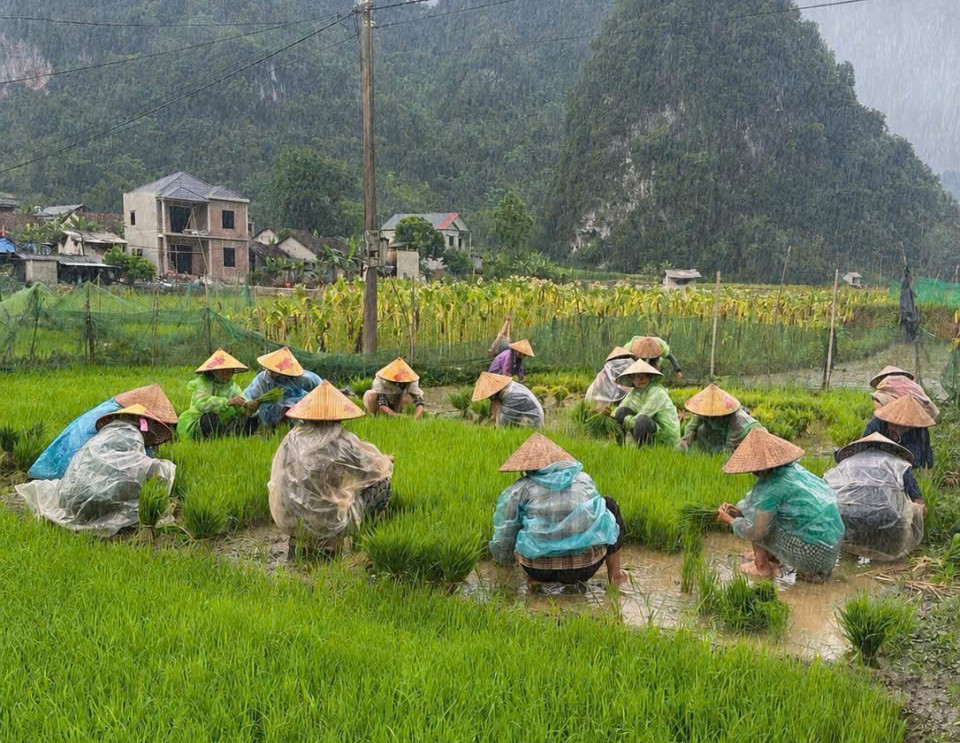 gen h chi hoi phu nu xom dong khuon 2 xa doc lap van dong hvpn giup nho ma cay lua cho hoi vien dam thi hien bi om di vien dieu tri dai ngay