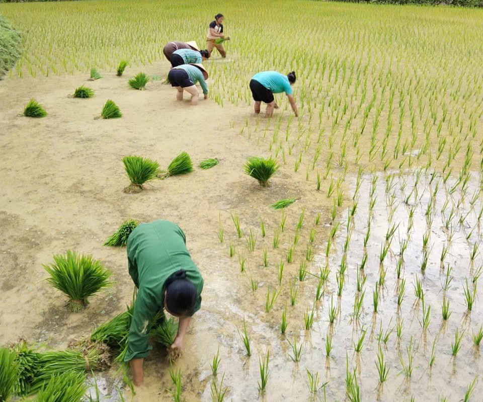 gen h nhan ngay gd viet nam chi hoi ban chao xa vinh quy cu hoi vien giup gia dinh thuong binh bi nhiem chat doc da cam cay lua va nho ma