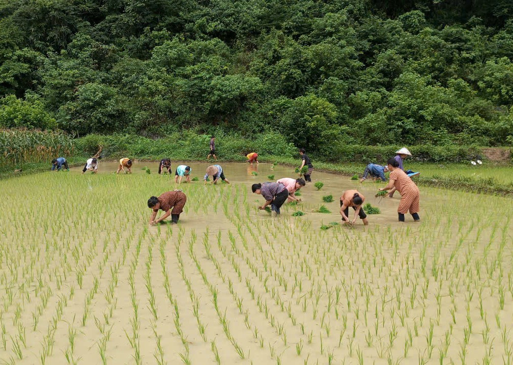 gen n hoi phu nua xa ly quoc van dong chi e hoi vien phu nu xom dong tam tham gia giup gia dinh hoi vien co con tham gia nghia vu quan su co 18 chi e tham gia