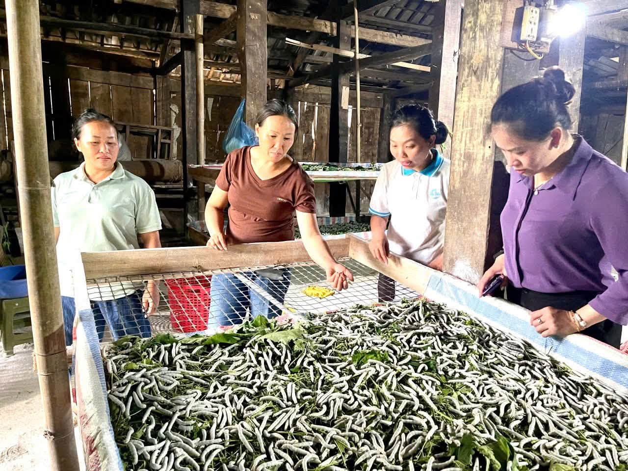 Đoàn kiểm tra trực tiếp đến từng hộ vay để nắm bắt tình hình sử dụng vốn, kiểm tra việc đầu tư sản xuất, chăn nuôi, kinh doanh.