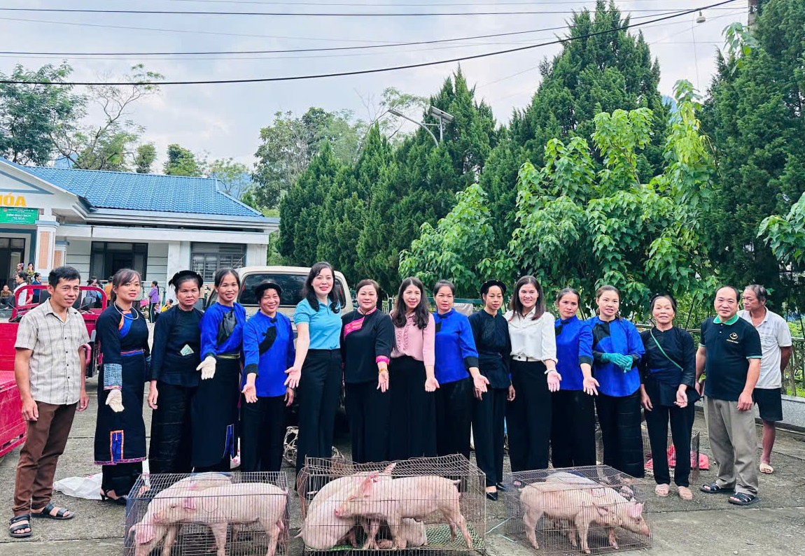 Lãnh đạo Hội Liên hiệp Phụ nữ tỉnh trao lợn giống cho hội viên.