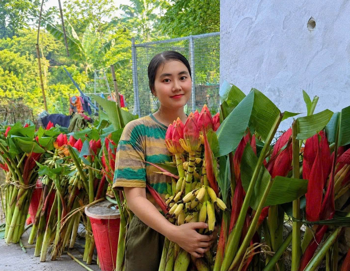 Sản phẩm hoa chuối đỏ cắt cành của chị Triệu Thị Đào rất được thị trường ưa chuộng.